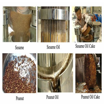 Prensa en frío automática de mejor calidad prensa de aceite hidráulico sésamo