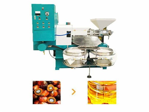 Máquina de extracción de aceite de semillas de palma girasol y algodón gran descuento