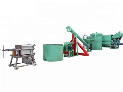 Máquina extractora de fibra de 55kw máquina de fibras vegetales de palma aceitera