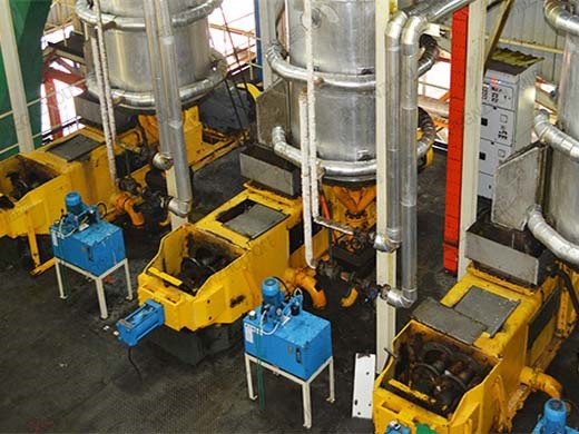 Fabricante de máquinas de aceite de palma cpo y rbd de venta directa en Bolivia