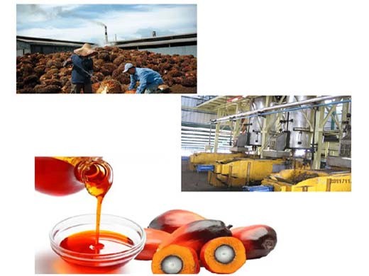 Maquinaria de molino de aceite de semilla de algodón/precio de la máquina de aceite de palma