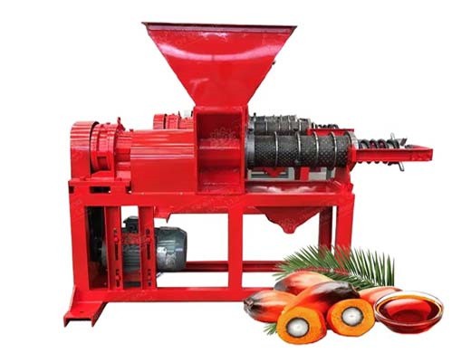 Máquina para fabricar molino expulsor de aceite de canola semilla de palma y mostaza