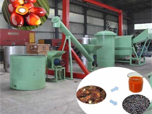Máquina prensadora de aceite de palma gzt con garantía de calidad de 30 años en Paraguay