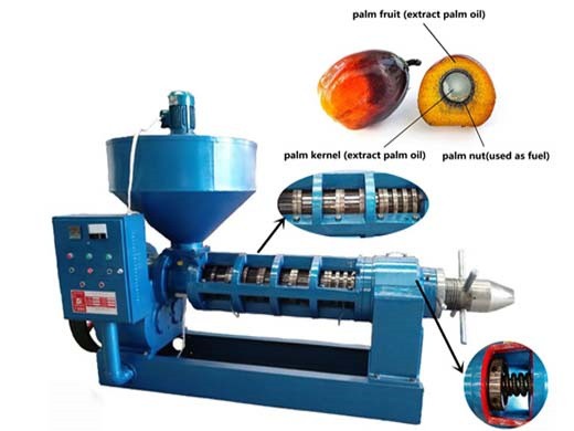 Máquina de producción de molino de aceite de palma agrícola con aprobación ISO