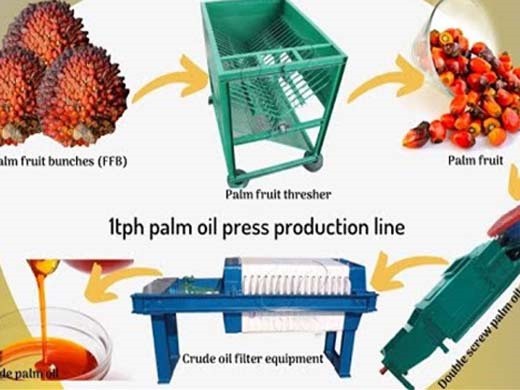 Molino de prensa de aceite de palma de tornillo máquina de aceite de palma bután soja en Bolivia