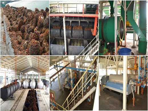Planta de molienda de aceite de palma Planta de refinación de aceite de palma en Nicaragua