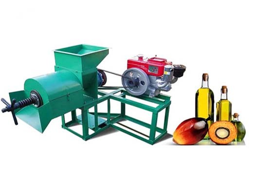 Línea de procesamiento de aceite de palma máquina prensadora de aceite de palmiste