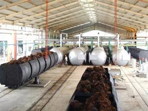 Gran máquina de extracción de aceite de semilla de palma en Bolivia