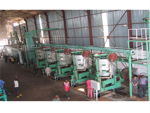 fabricante proveedor de prensa de aceite de palma de 10tph en Costa Rica