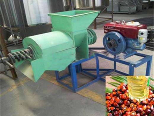 Fabricante gran oferta máquina de extracción de aceite de palma prensa de aceite