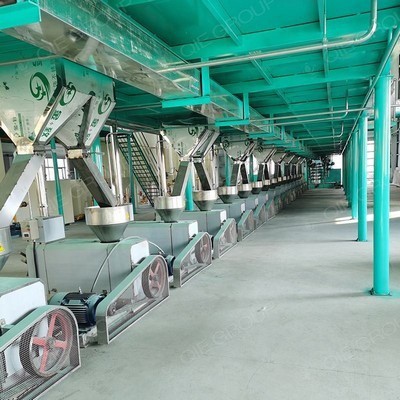 Línea de producción de aceite vegetal de máquina prensadora de aceite de canola y aceite comestible