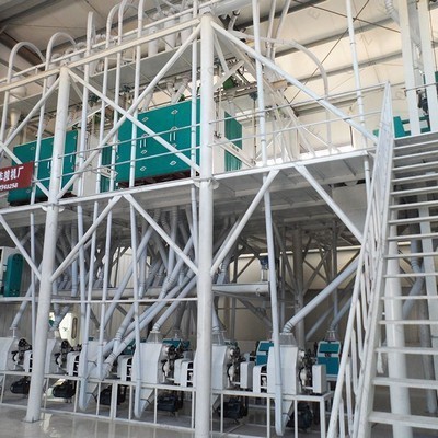 Línea de producción de prensa de aceite de girasol 6yl-68 al por mayor en Nicaragua