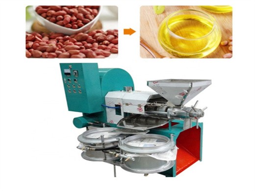 Máquina procesadora de aceite de maní y coco de mantenimiento simple en Bolivia