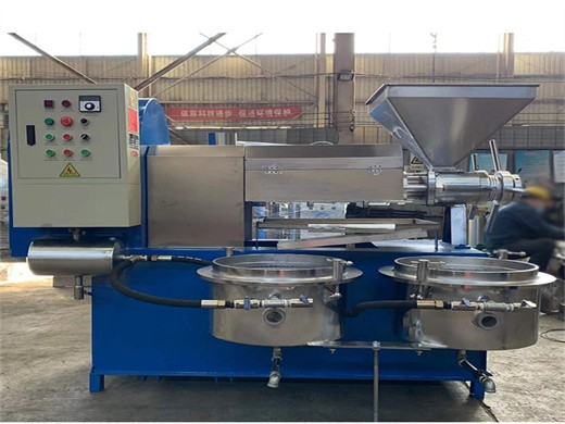 Pequeña máquina prensadora de aceite de girasol para uso comercial en Colombia