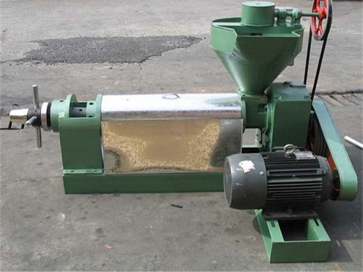 Máquina prensadora de aceite de nuez máquina prensadora de aceite de semillas de girasol