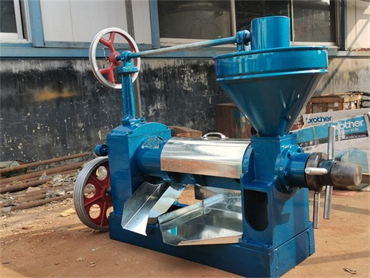 Pequeñas máquinas prensadoras de aceite de 10-100 tpd en Burundi
