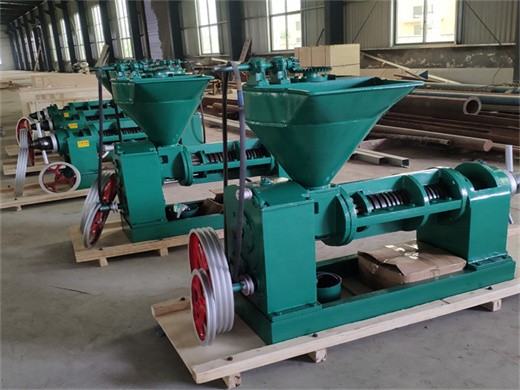 Máquina automática de prensa de filtro de aceite de acero inoxidable de China