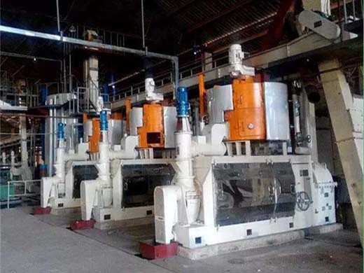 Detalle de la máquina de prensado en frío de aceite de coco fabricada en China