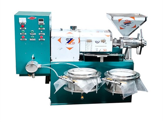 Nueva máquina automática de prensa de aceite de coco de tornillo de gran capacidad de alta calidad