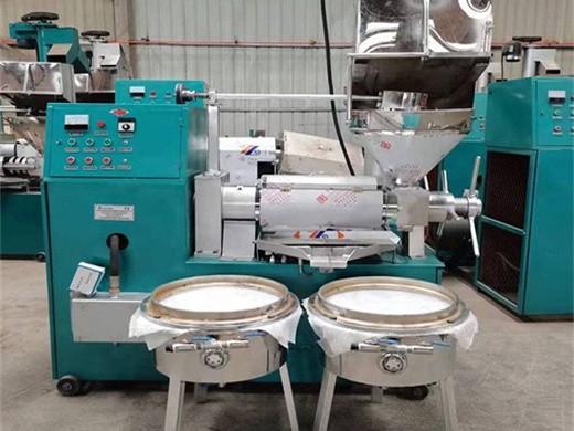 Máquina prensadora de aceite de coco de gran capacidad y gran uso en Colombia