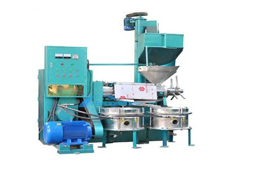 Máquina de filtro de aceite de maní máquina de filtro de aceite de salvado de arroz en Bolivia